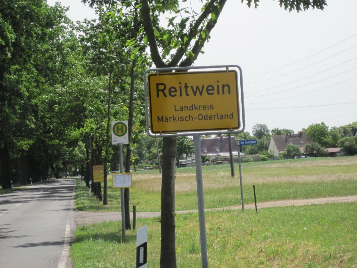 Pension Zum Weissen Hirsch Reitwein Buitenkant foto