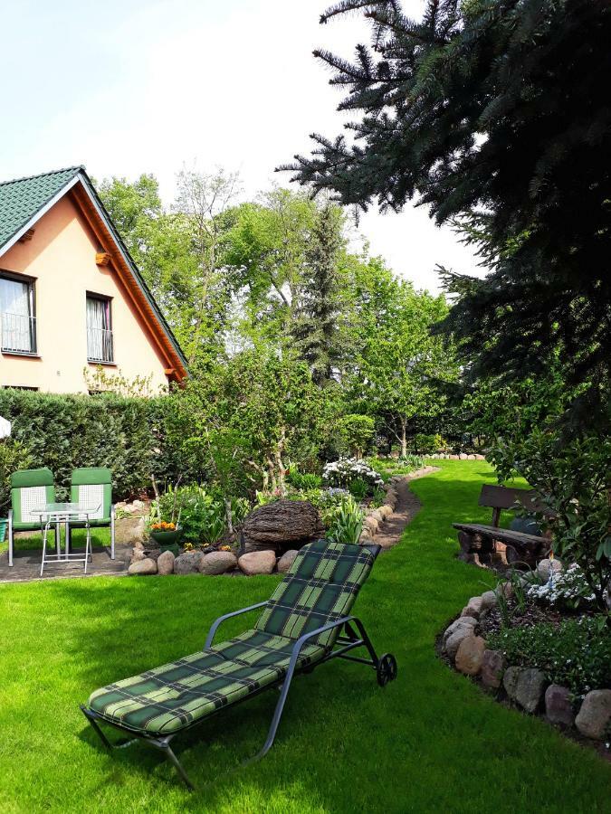 Pension Zum Weissen Hirsch Reitwein Buitenkant foto